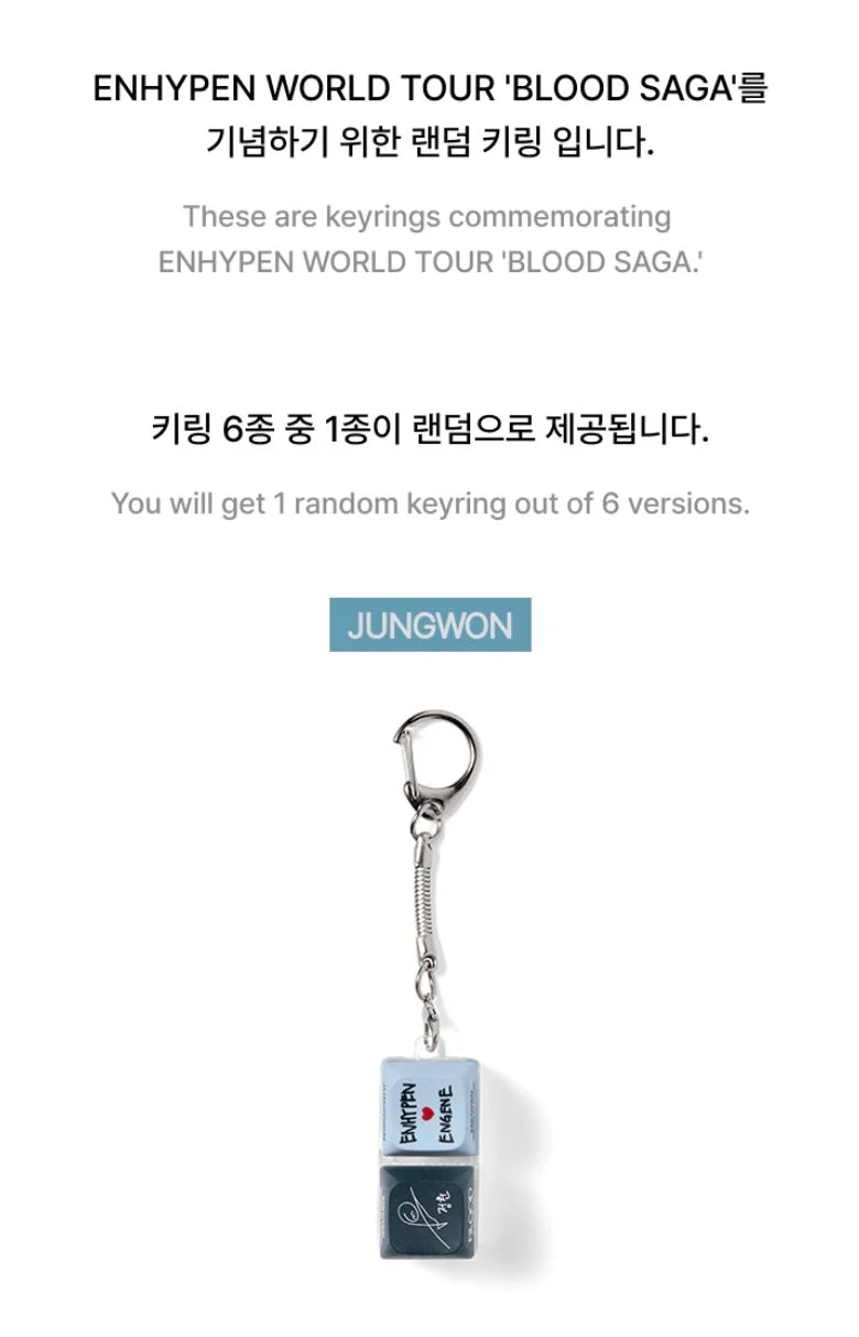ENHYPEN - RANDOM KEYRING (WORLD TOUR 'BLOOD SAGA' MD)