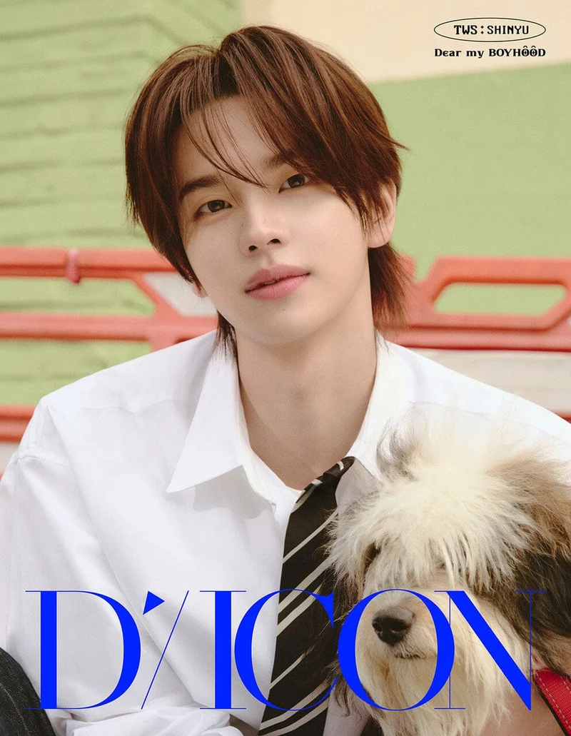 TWS - DICON (VOLUME N°34)