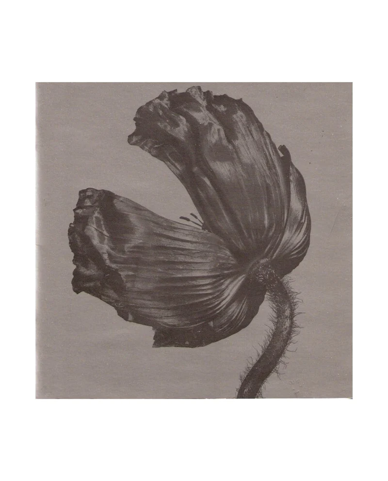 Pet Shop Boys - CD "Release"