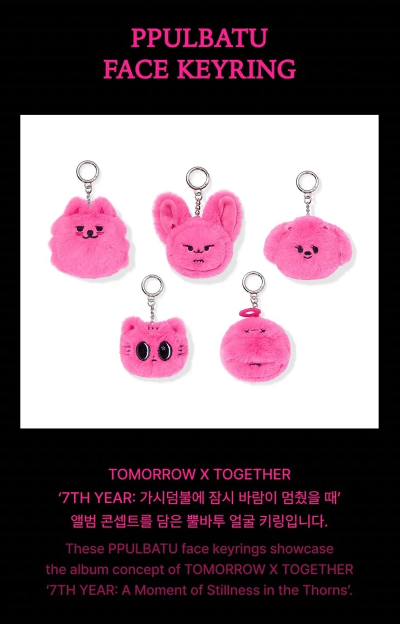 TXT - PPULBATU FACE KEYRING (7TH YEAR: WHEN THE WIND PAUSED AMONG THE THORNS MD)