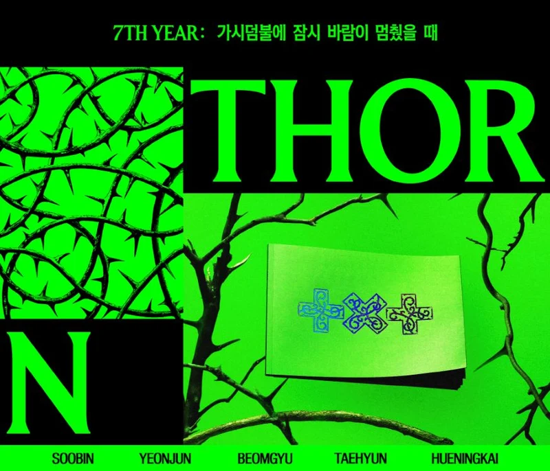 TXT - 7TH YEAR: WHEN THE WIND PAUSED AMONG THE THORNS (THORN VER.)