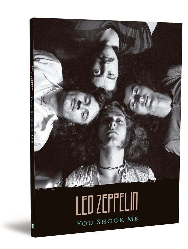 LED ZEPPELIN You shook me