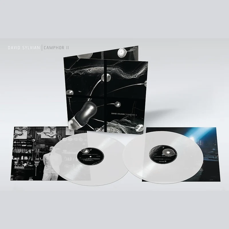 2LP DAVID SYLVIAN | Camphor II [RSD2025]