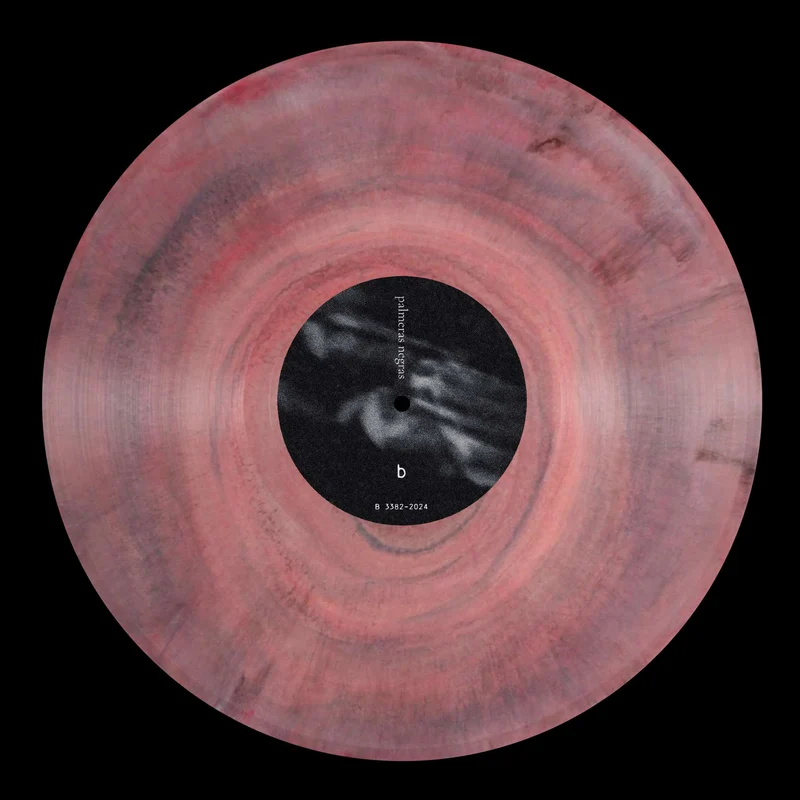 Palmeras Negras | s/t [Marbled Vinyl]
