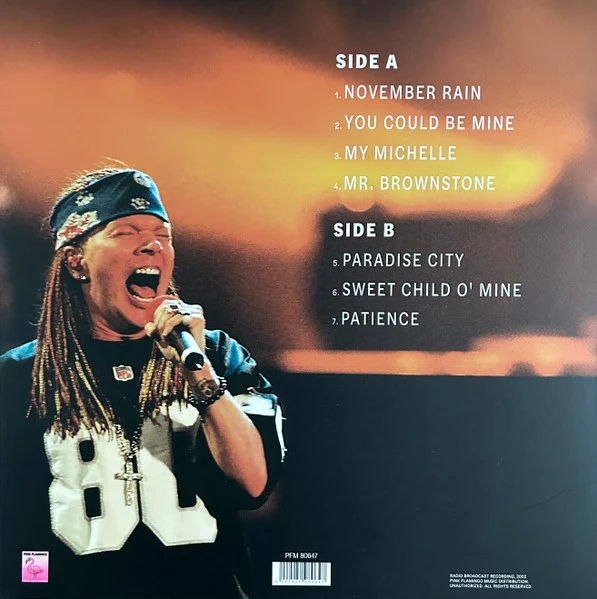 Guns N' Roses | November Rain In Paradise City