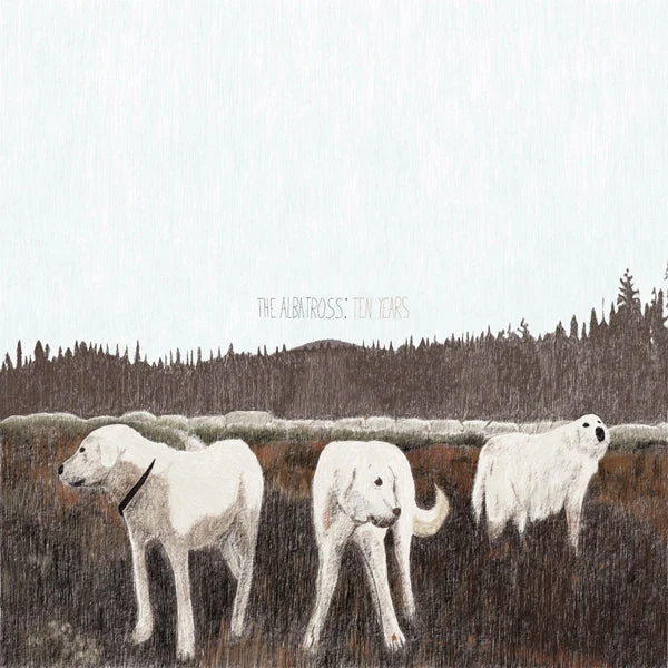 Foxing | The Albatross: Ten Years [Brown Vinyl]
