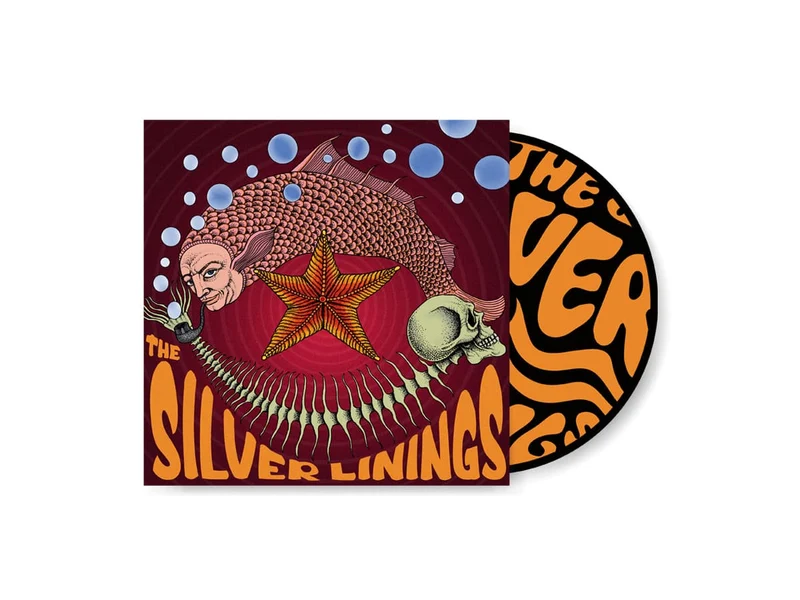 The Silver Linings | Pink Fish
