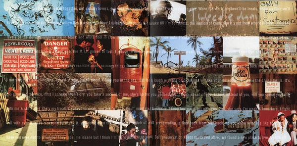 Tricky | Maxinquaye