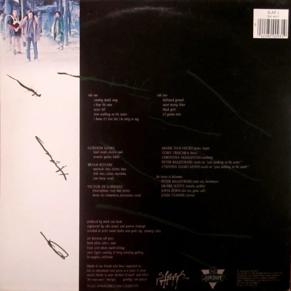 Violent Femmes ‎| Hallowed Ground