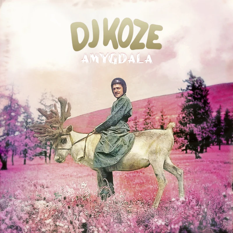 DJ Koze | Amygdala (10th Anniversary Limited Edition) 2LP+7 pulgadas