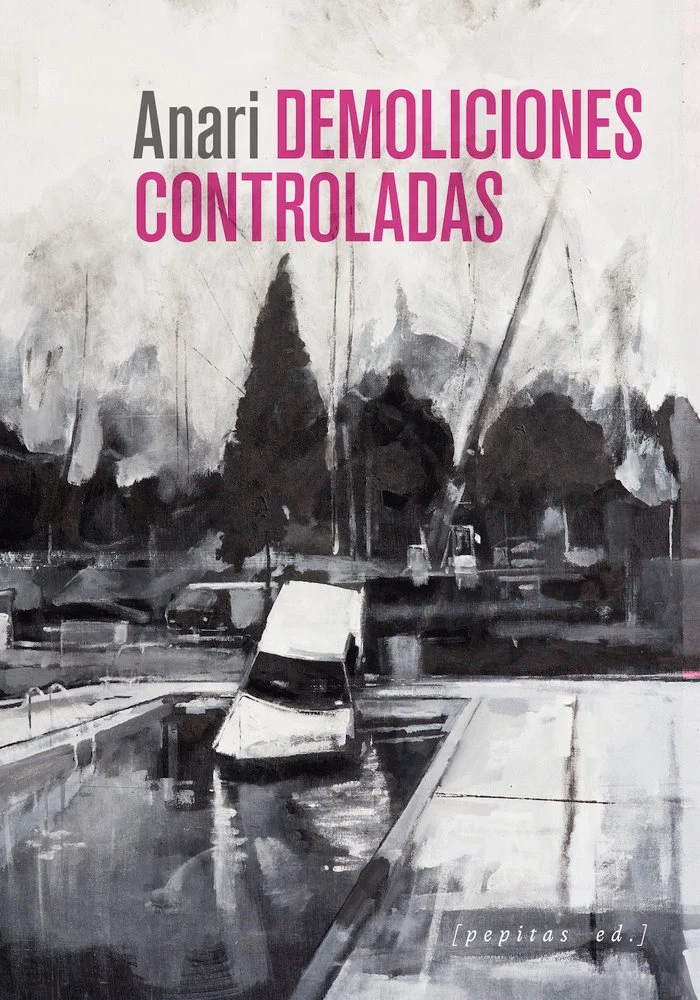 Anari DEMOLICIONES CONTROLADAS