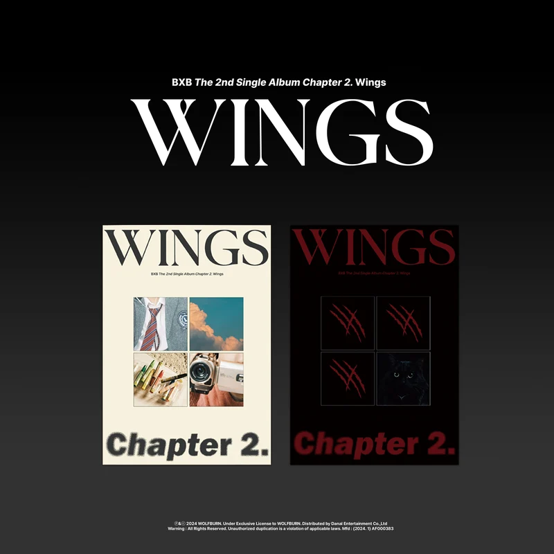 BXB - Chapter 2. Wings