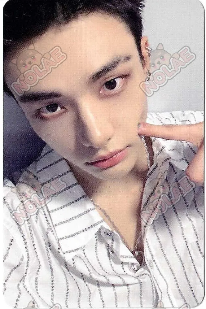 STRAY KIDS - KARMA - POB DEAR MY MUSE PHOTOCARD