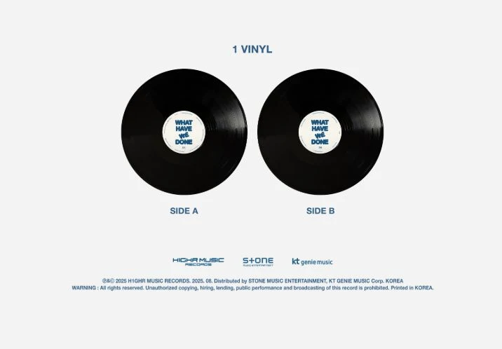PH-1 - WHAT HAVE WE DONE (LP)