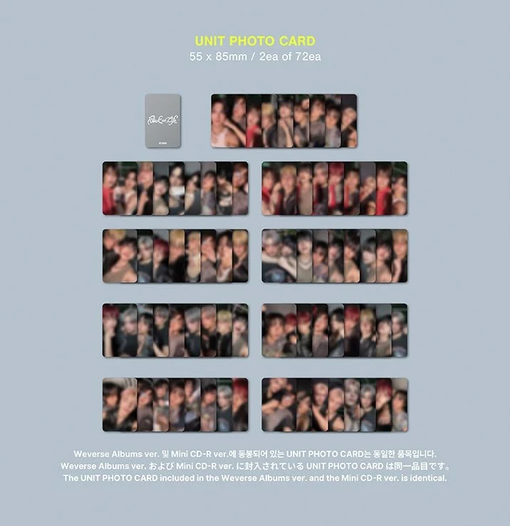 &TEAM - BACK TO LIFE (1ST KOREAN MINI ALBUM) (PHOTOCARD BOX) (WEVERSE ALBUMS VER.)