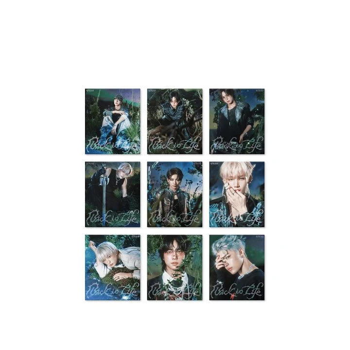 &TEAM - BACK TO LIFE (1ST KOREAN MINI ALBUM) (ROAR VER.)