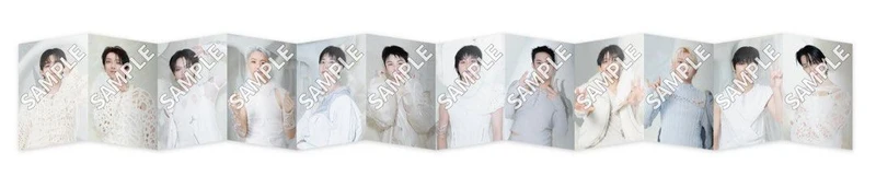 [SEVENTEEN] Happy Burstday : Accordion POB Photocard