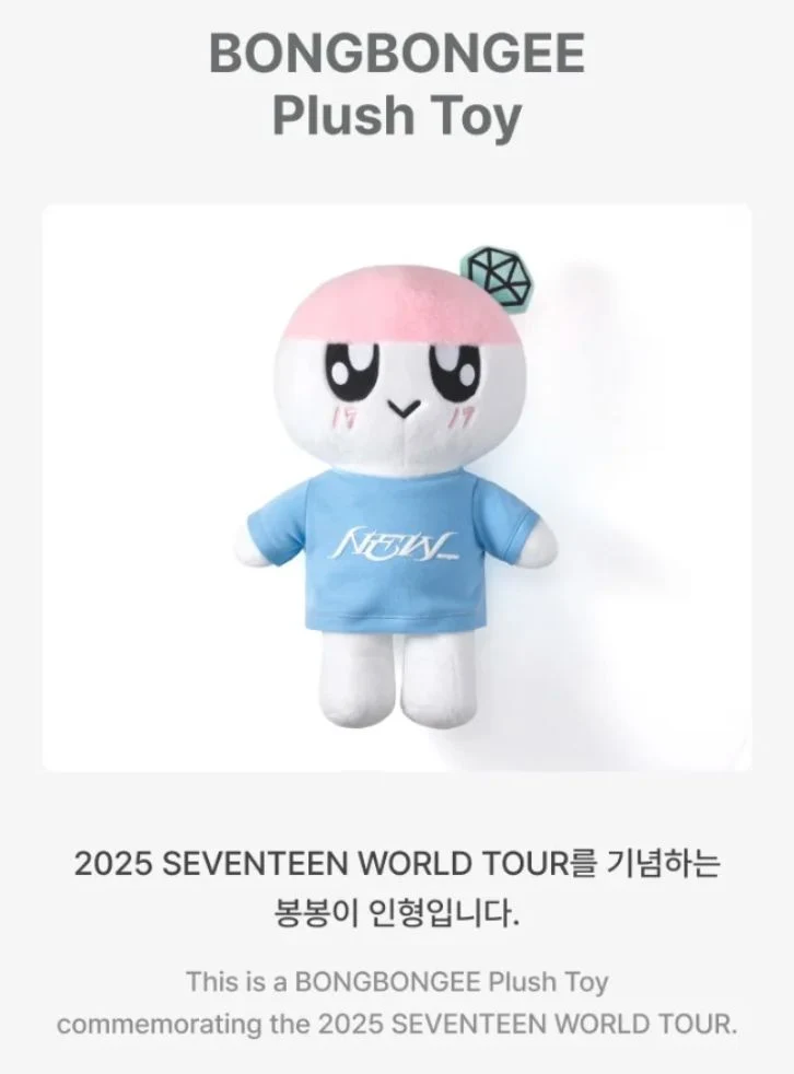SEVENTEEN - NEW_ 2025 WORLD TOUR IN INCHEON OFFICIAL MD