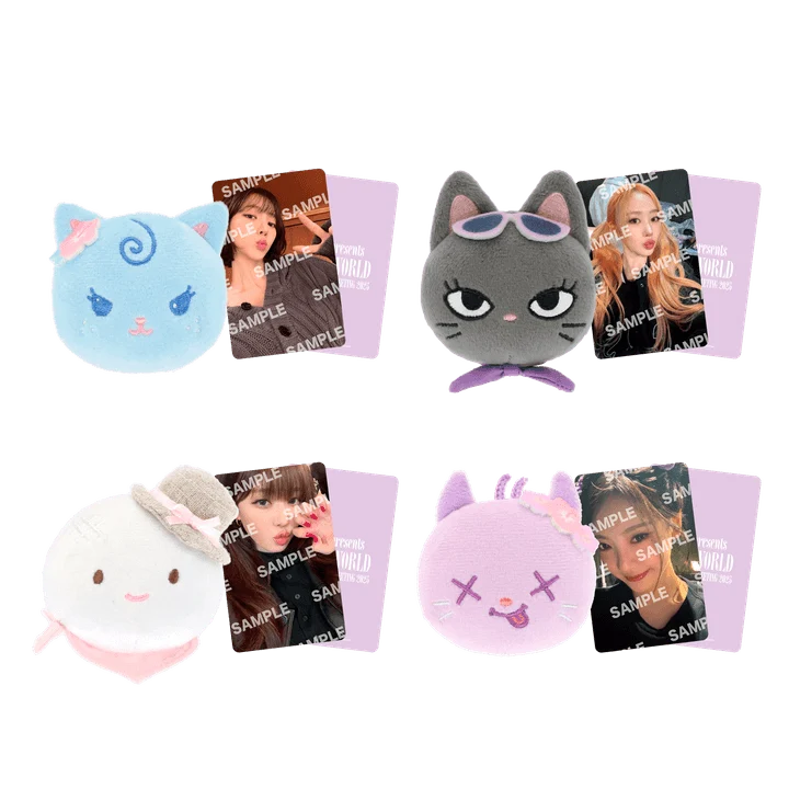 [AESPA] 2025 Japan Fanmeeting : To My World : Character Clip