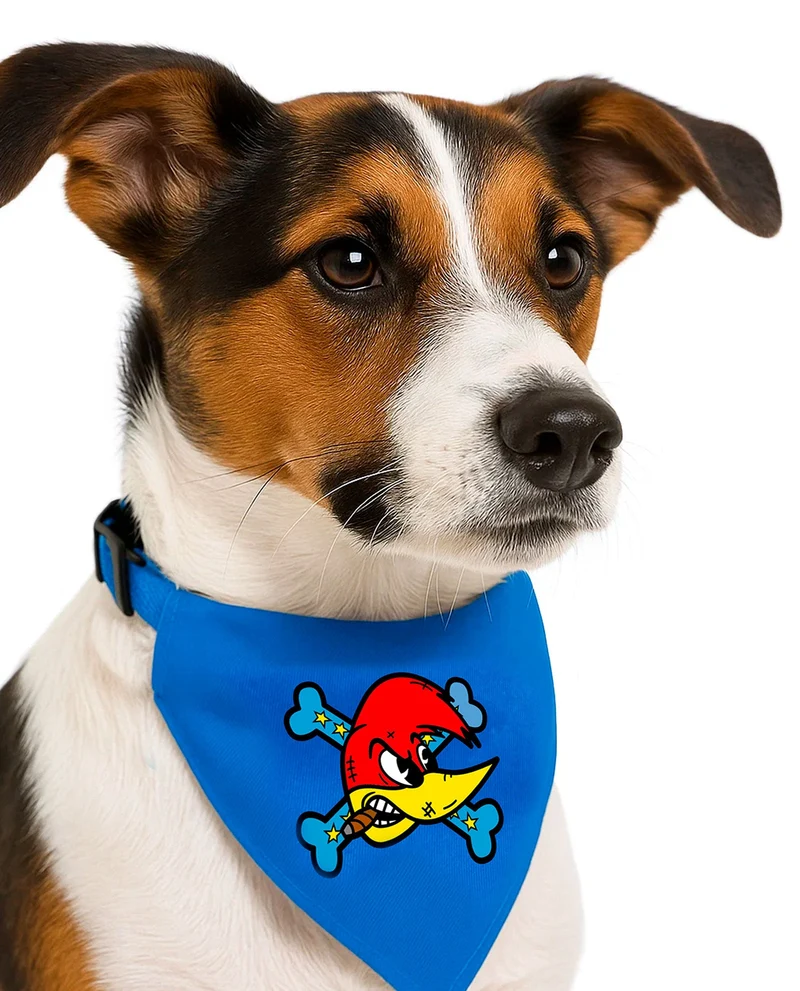 Loquillo - Collar pañuelo para mascotas