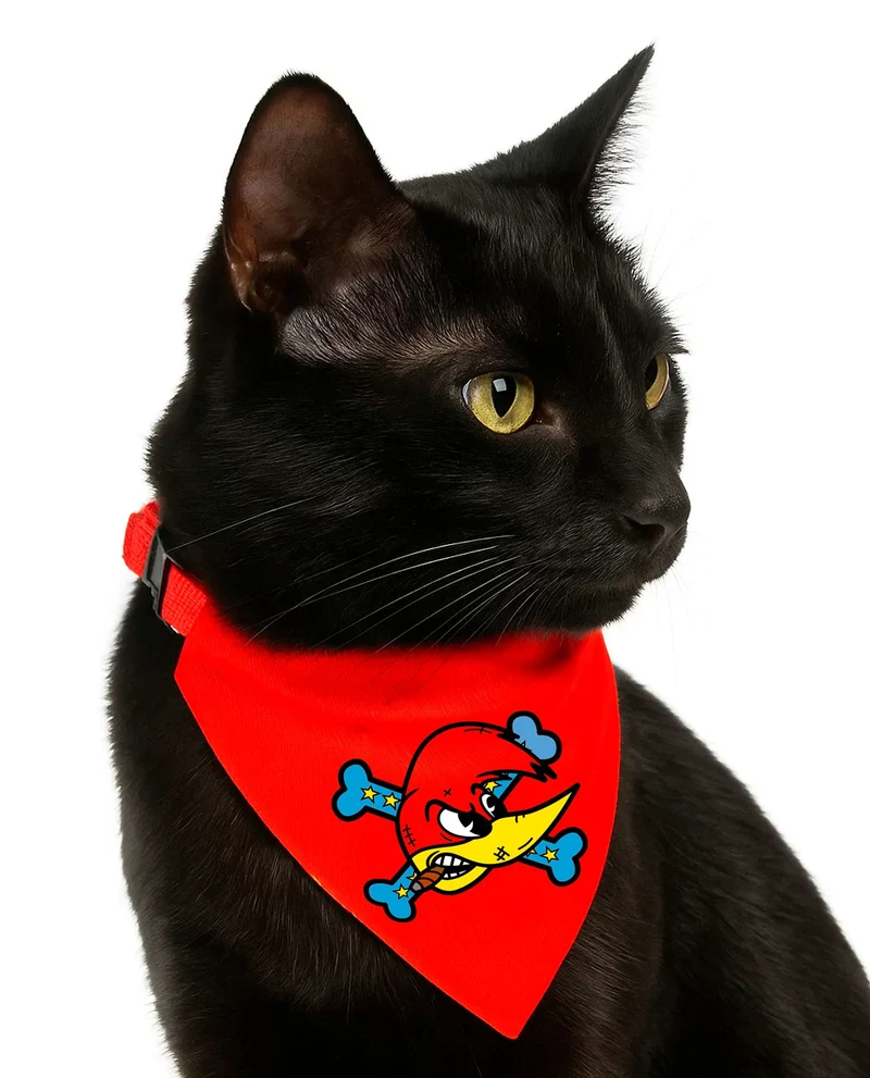 Loquillo - Collar pañuelo para mascotas