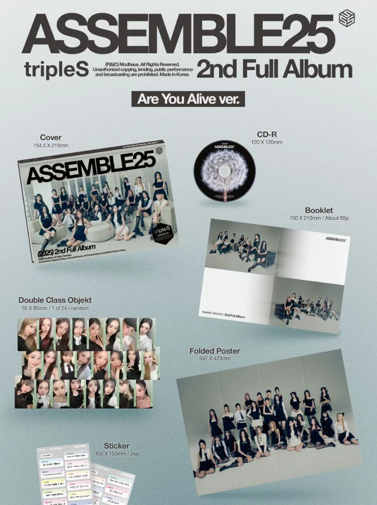 TRIPLE S - ASSEMBLE25