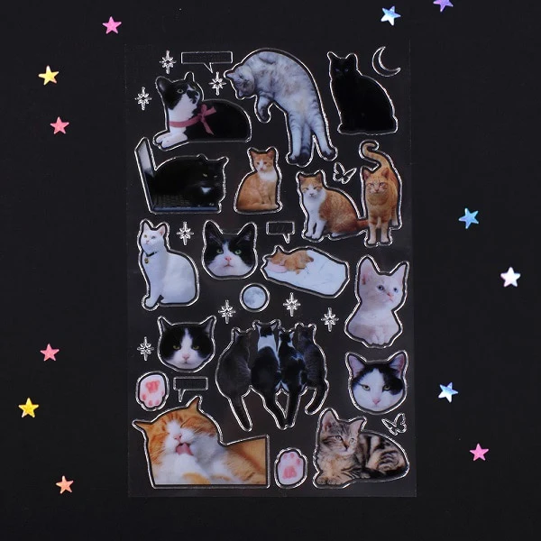 Be On :D Silver and Street Cat Club Sticker