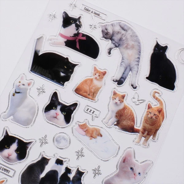 Be On :D Silver and Street Cat Club Sticker
