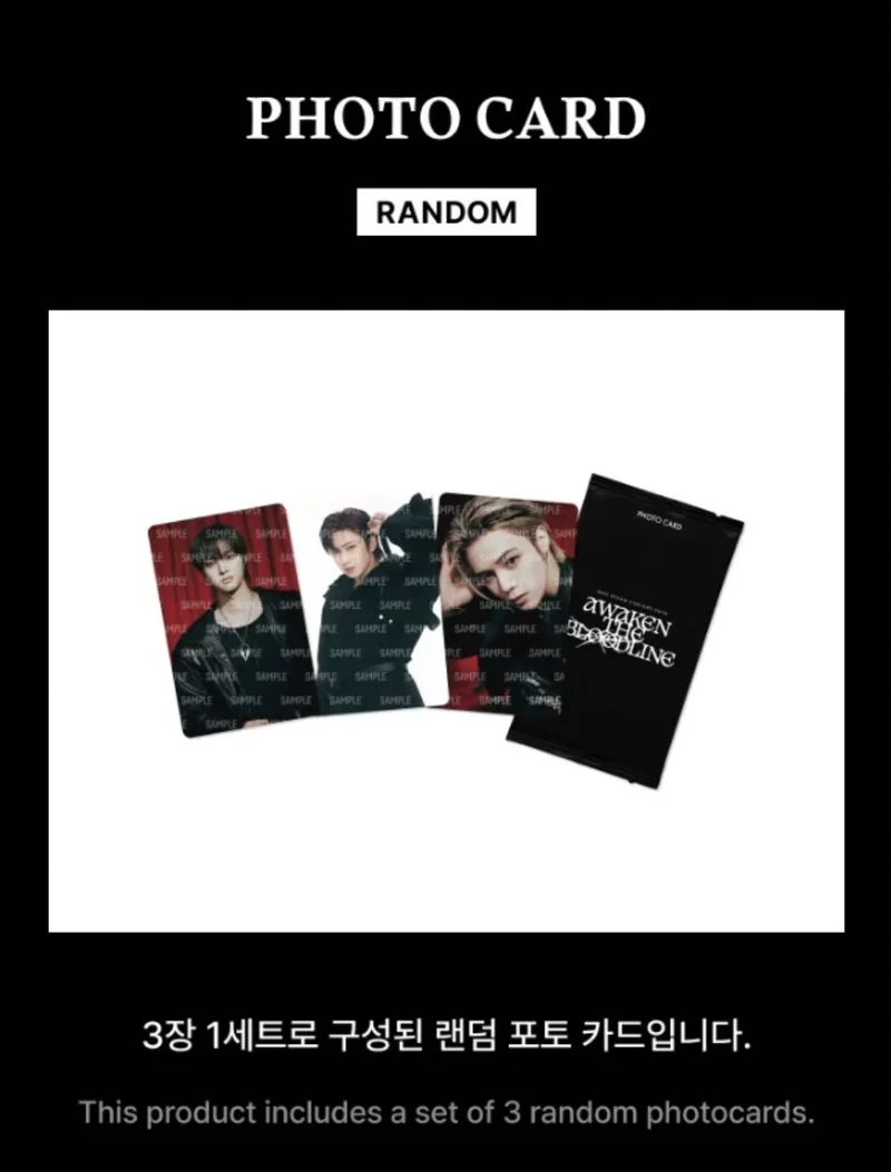 &TEAM - PHOTO CARD (2025 CONCERT TOUR 'AWAKEN THE BLOODLINE' OFFICIAL MD)