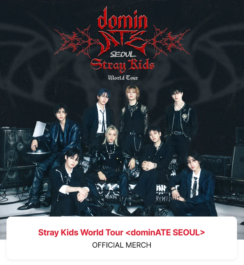 [STRAY KIDS] World Tour Official Merch