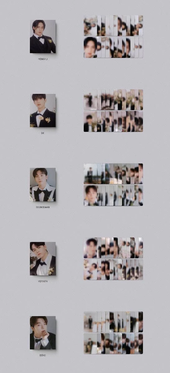 SEVENTEEN - FML 10TH MINI ALBUM (CARAT VER.)