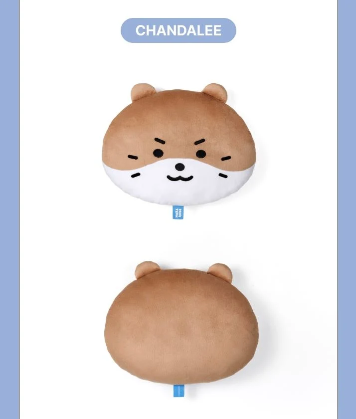SEVENTEEN - 'MINITEEN' MD