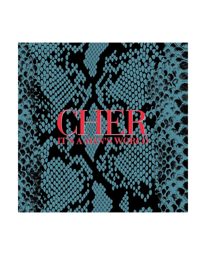 Cher - 2CD "It's a man's world (Deluxe Edition)"