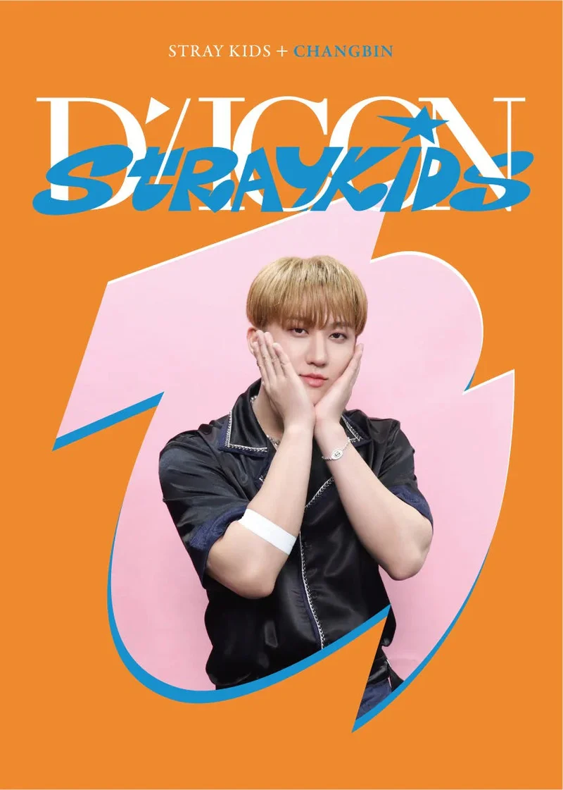 Stray Kids - DICON DFESTA MINI EDITION